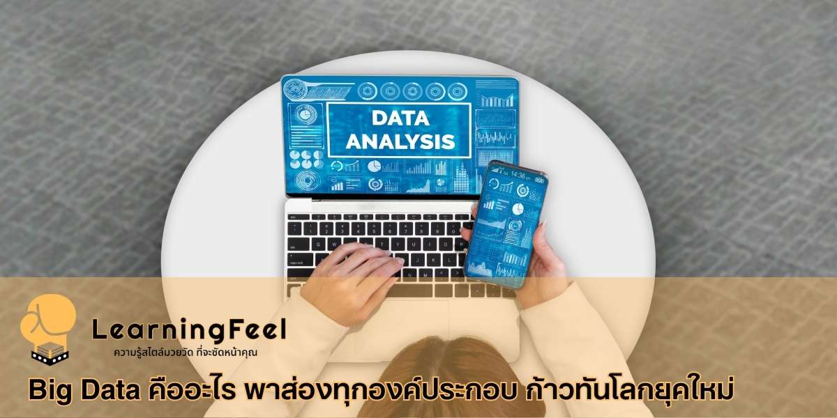 Data Analysis คืออะไร ? ทักษะสำคัญในการพัฒนาองค์กร